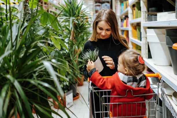 beautiful young woman with daughter in a flower shop and choosing flowers - garden decoration stock pictures, royalty-free photos & images