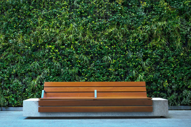 bench against plants decorated wall - garden decoration stock pictures, royalty-free photos & images