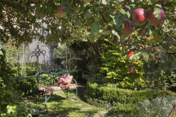 bench under apple tree in lush garden - garden decoration stock pictures, royalty-free photos & images