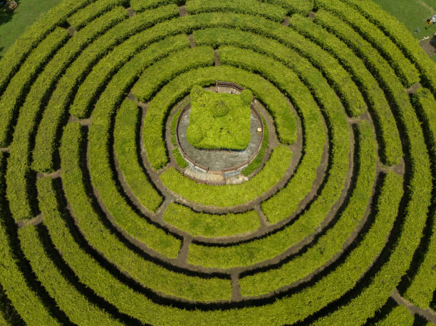 bird's-eye view of the maze garden - garden decoration stockfoto's en -beelden