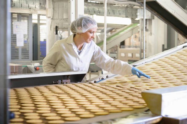 biscuit factory worker inspecting freshly made biscuits on production line - food stock pictures, royalty-free photos & images