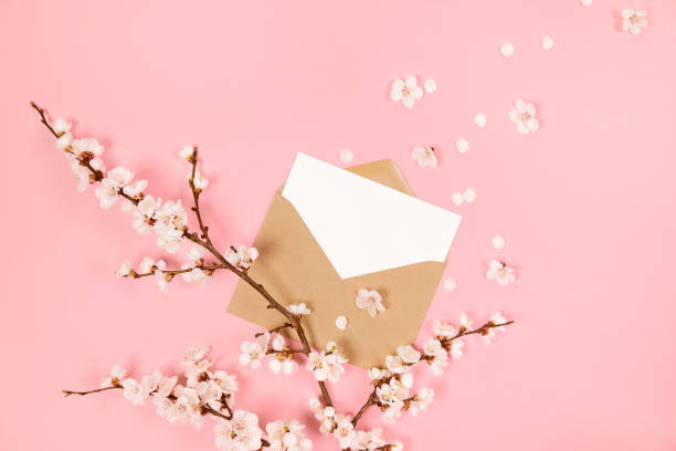blank white card and craft paper envelope on on pastel pink background with spring cherry flowers. top view, flat lay, copy space. - garden decoration stock pictures, royalty-free photos & images