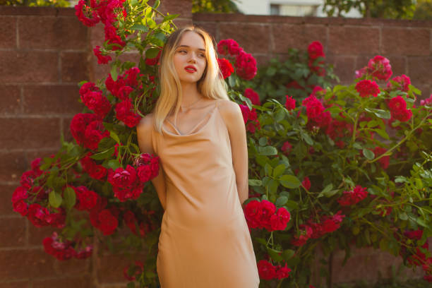blonde woman is roses garden - garden decoration stock pictures, royalty-free photos & images
