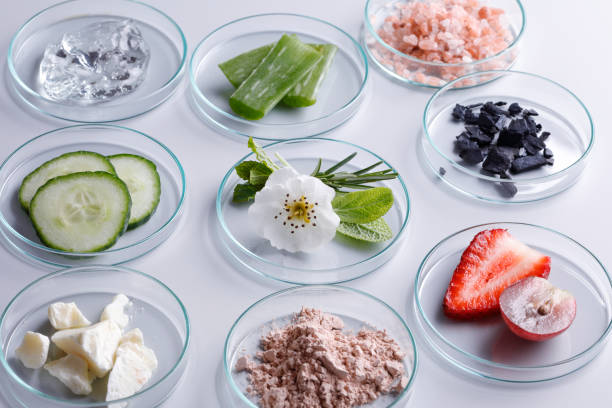 boîtes de petri avec des ingrédients cosmétiques biologiques - food photos et images de collection