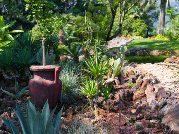 botanical garden on brissago island, lake maggiore - garden decoration stock pictures, royalty-free photos & images