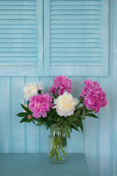 bouquet of peonies in vase - stock photo - garden decoration stock pictures, royalty-free photos & images