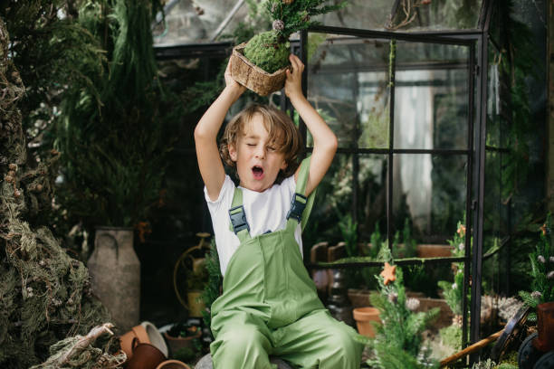 boy in front of a greenhouse holding a christmas tree over his head with mouth open - garden decoration stock pictures, royalty-free photos & images