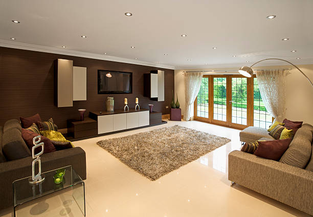 brown toned living room with a rug, couch, and television - garden decoration stock pictures, royalty-free photos & images