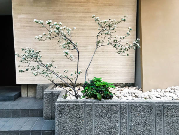 building facade - garden decoration stock pictures, royalty-free photos & images