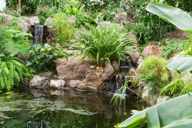 cascade fountain in the garden. man-made fountain, cascading water from stones. - garden decoration stock pictures, royalty-free photos & images