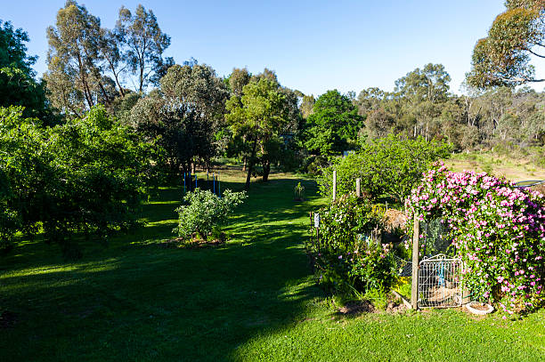 castlemaine, victoria, australia. - garden decoration stock pictures, royalty-free photos & images