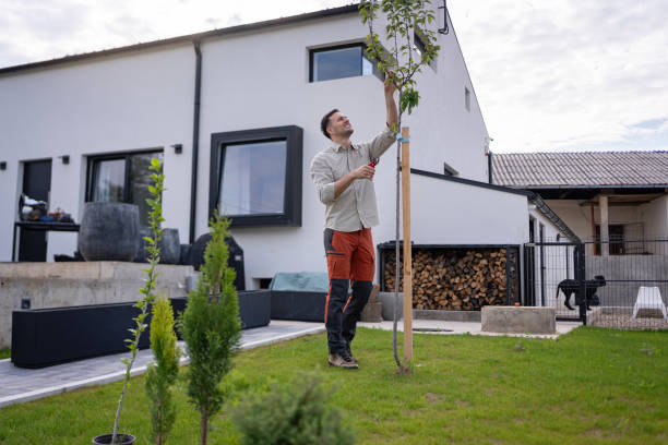caucasian gardener using pruning shears to prune the tree in the garden - garden decoration stock pictures, royalty-free photos & images