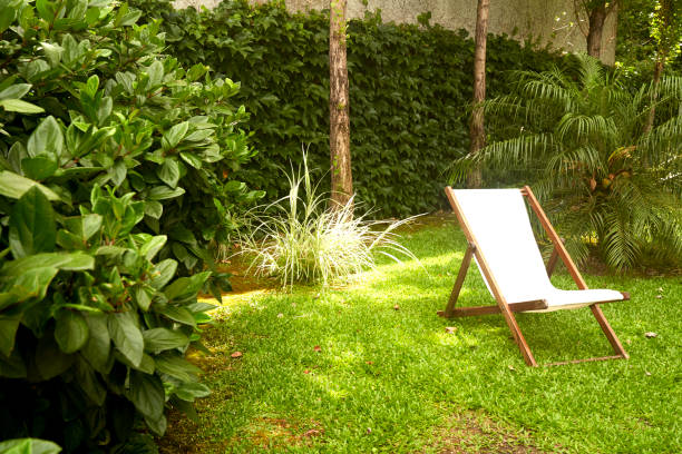 chair alone in green park - garden decoration stock pictures, royalty-free photos & images