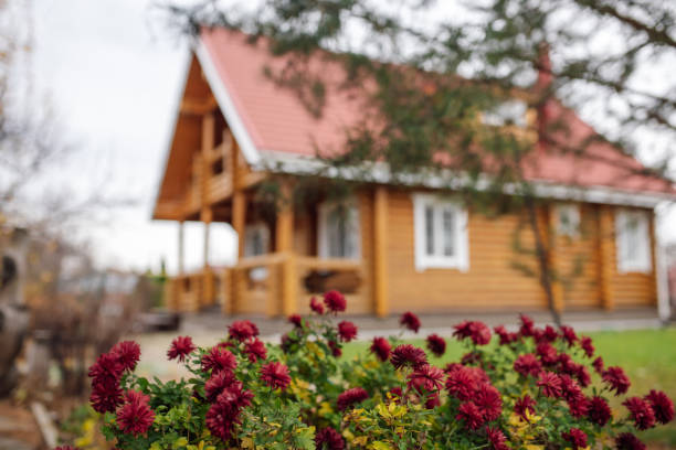 charming autumn landscape opening behind delicate dahlia bushy with red flowers growing on foreground in front of gorgeous wooden house. - garden decoration stock pictures, royalty-free photos & images