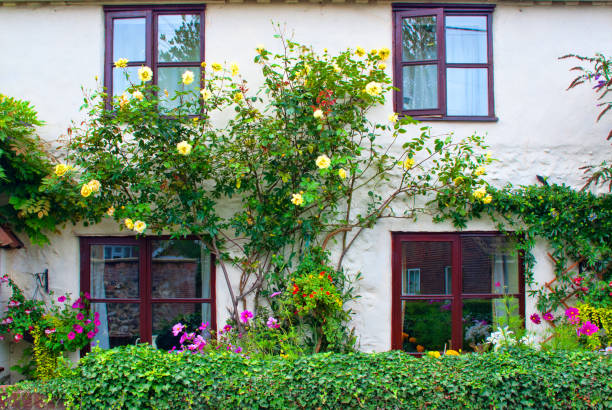charming norfolk cottage - garden decoration stock pictures, royalty-free photos & images