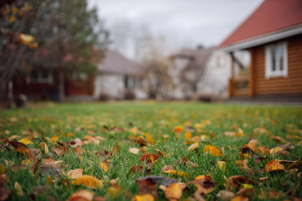 charming village house standing on tranquil site in front of lawn adorned with fallen autumn leaves on cloudy day. - garden decoration stock pictures, royalty-free photos & images