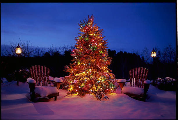 christman tree and adirondack chairs - garden decoration stock pictures, royalty-free photos & images
