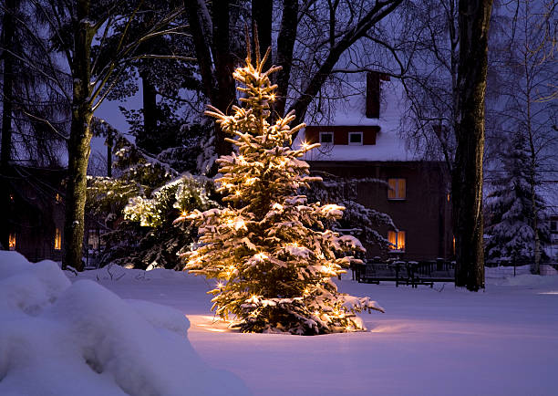christmas is coming - garden decoration stock pictures, royalty-free photos & images