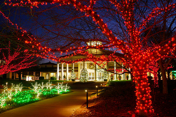 christmas lights - garden decoration stock pictures, royalty-free photos & images