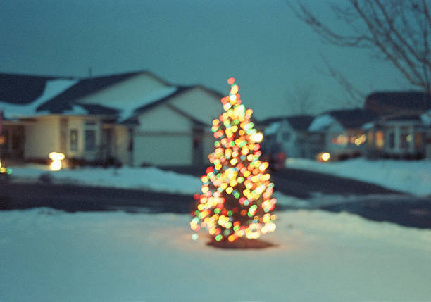 christmas tree in suburbia - garden decoration stock pictures, royalty-free photos & images