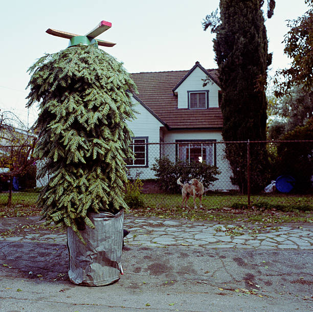 christmas tree upside down in trash can in front of house - garden decoration stock pictures, royalty-free photos & images