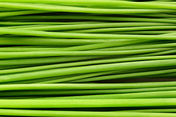 close-up of a bunch of chives laying down. - food stock pictures, royalty-free photos & images