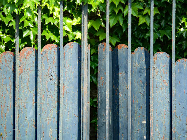 close-up of an old metal door covered with wild and climbing plants in evian-les-bains, haute-savoie, france - garden decoration stock pictures, royalty-free photos & images