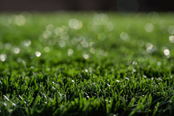 close-up of artificial grass - garden decoration stock pictures, royalty-free photos & images