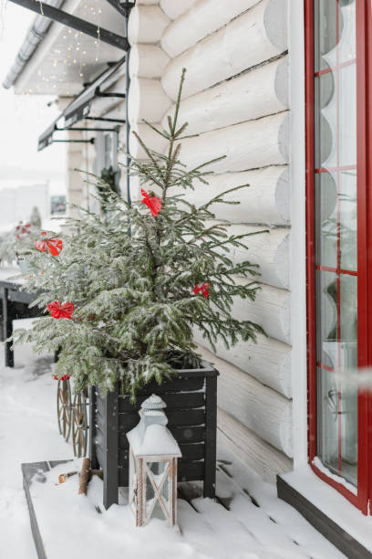 close-up of decorations on a christmas tree outside a house on a snowy winter day, belarus - garden decoration stock pictures, royalty-free photos & images