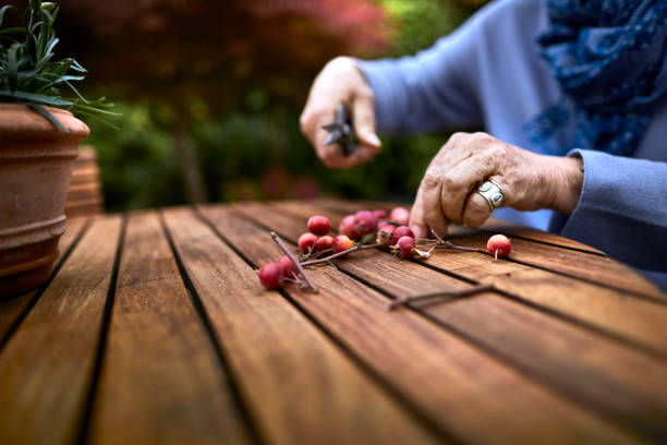 close-up of senior woman crafting with berries at garden table - garden decoration stock pictures, royalty-free photos & images