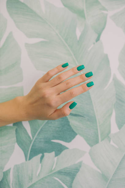 close-up of woman's hand with nail art manicure in green color. - nails art stock pictures, royalty-free photos & images