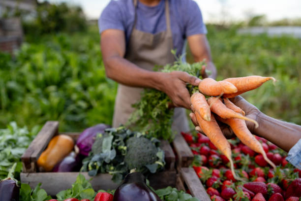 close-up on a man selling carrots at a farmer's market - food stock pictures, royalty-free photos & images