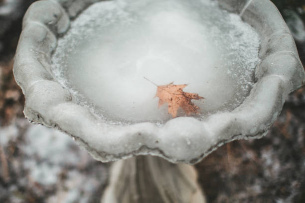 close up of a frozen birdbath - garden decoration stock pictures, royalty-free photos & images