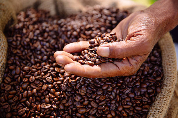 coffee beans freshly roasted, aromatic and healthy - coffee stockfoto's en -beelden