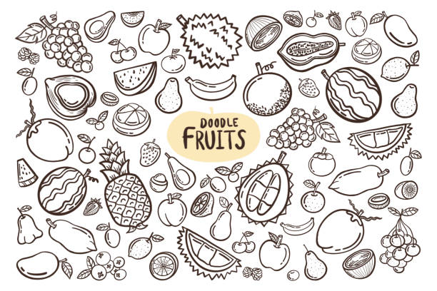collection of various mixed fruits. hand drawn. - food stock pictures, royalty-free photos & images