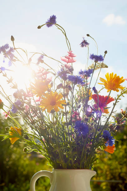 colorful bouquet of wild flowers in a vase on table in garden against sunlight in the evening - garden decoration stock pictures, royalty-free photos & images