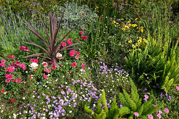 colorful mixed herbaceous garden scene - garden decoration stock pictures, royalty-free photos & images