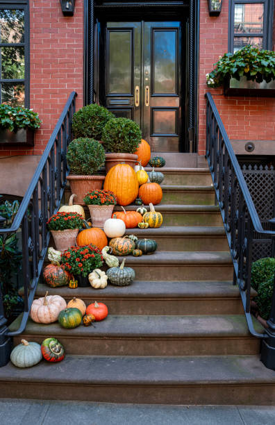 colorful pumpkins on the stairs of an old brownstone home near soho, new york city - garden decoration stock pictures, royalty-free photos & images