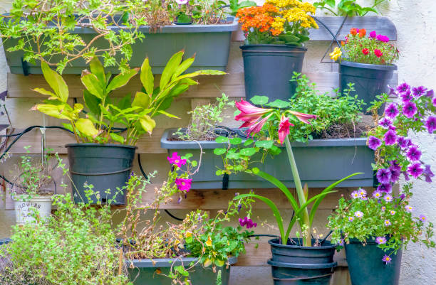 colourful vertical wall garden - garden decoration stock pictures, royalty-free photos & images