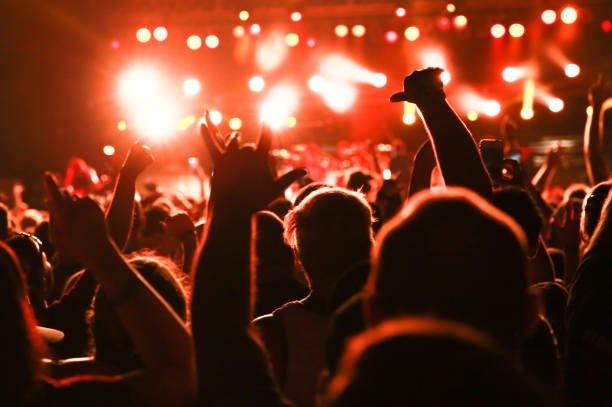 concert audience, rear view concert crowd, music festival - concert stock pictures, royalty-free photos & images