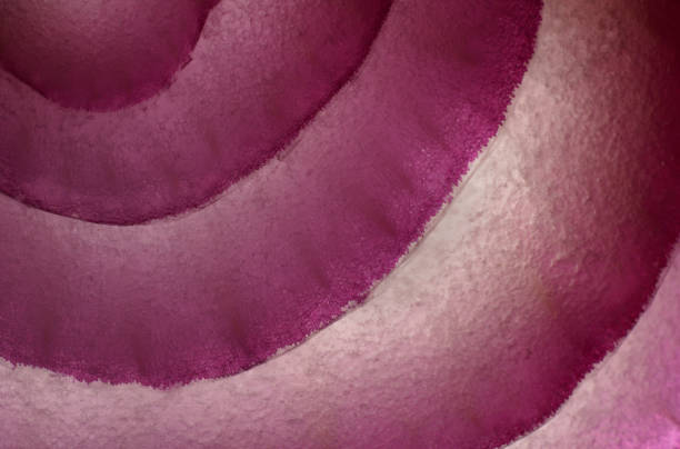 contours - food stock pictures, royalty-free photos & images