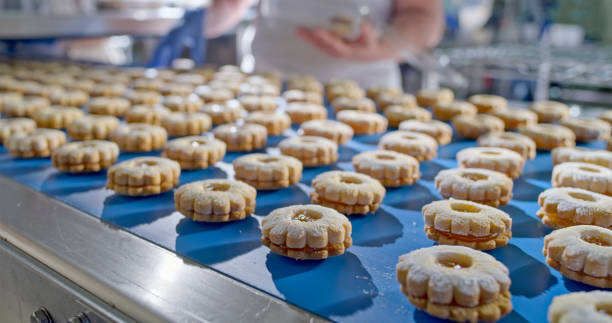 cookies travelling on the conveyor belt - food stock pictures, royalty-free photos & images