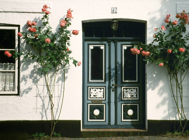 cottage door with pink rose bushes - garden decoration stock pictures, royalty-free photos & images