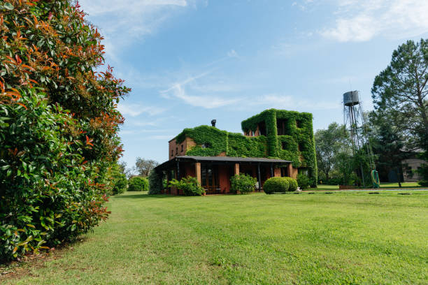 country house in argentina - garden decoration stock pictures, royalty-free photos & images