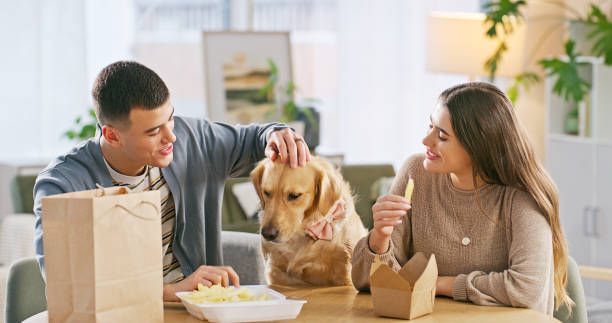 couple, food and home with dog for love, pet bonding and eating together in apartment. support, animal and people with adoption, takeaway fries and snacks for lunch in house with golden retriever - junk food stock pictures, r