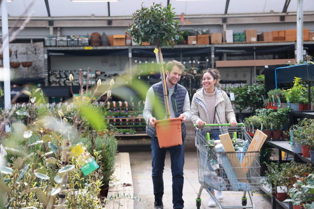 couple shopping at garden centre - home decoration stock pictures, royalty-free photos & images