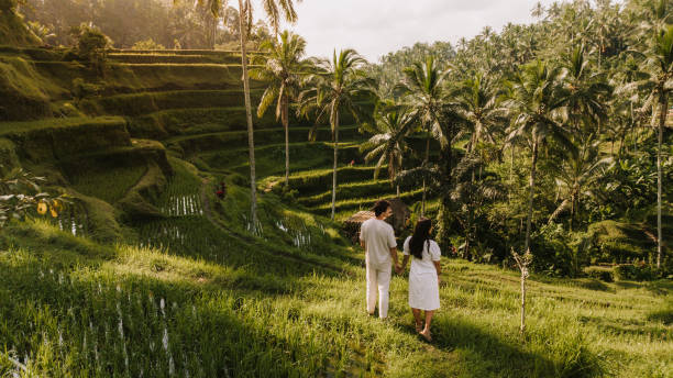 couple visiting a rice field in bali - travel photos et images de collection