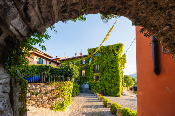 courtyard with house wall covered with ivy on lake como, italy - garden decoration stock pictures, royalty-free photos & images