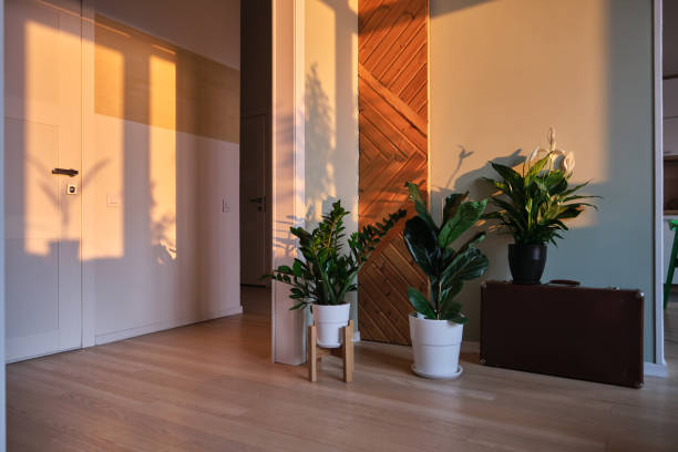 cozy home interior with home plants in the rays of the dawn sun. - garden decoration stock pictures, royalty-free photos & images
