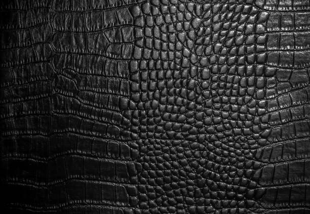 crocodile leather texture closeup background - fashion stock pictures, royalty-free photos & images